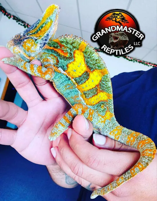 GRANDMASTER REPTILES LLC Picture 9