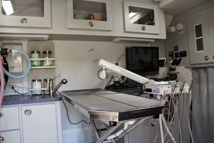 Curbside Veterinary Clinic, LLC Picture 9