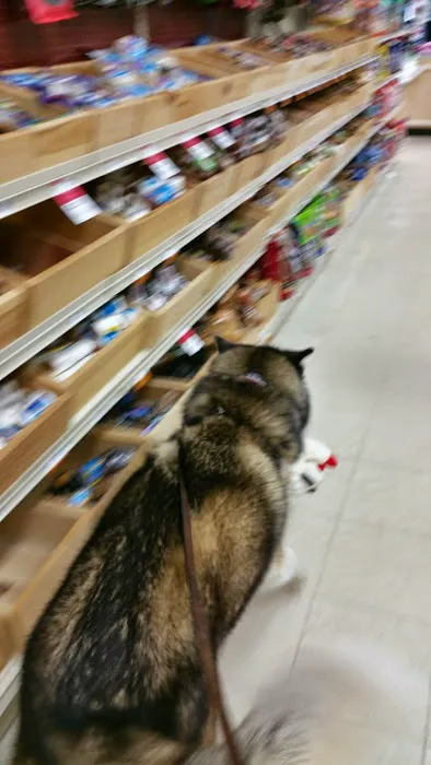 Pet Supplies Plus Glendale Picture 1