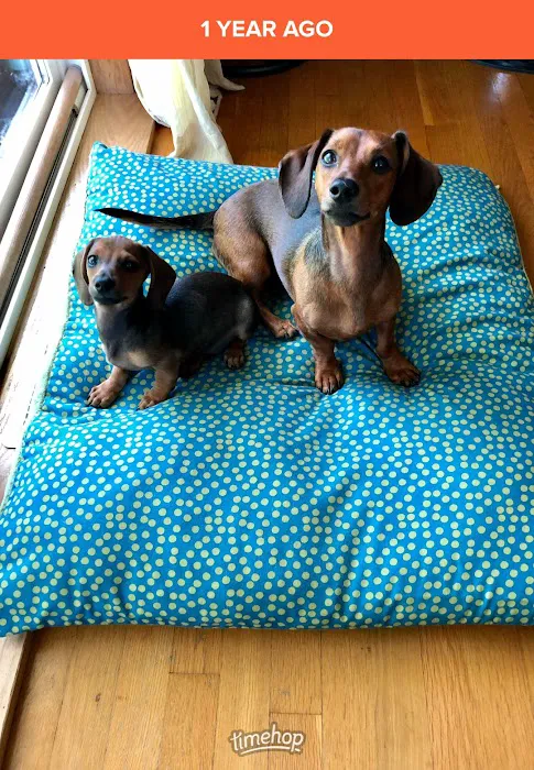 Pet Supplies Plus Glendale Picture 6