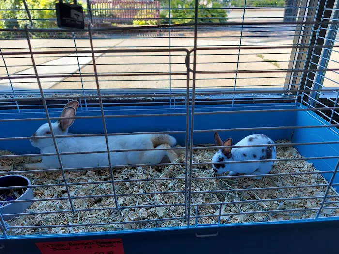 Marineland Pets 311 W Silver Spring Bayshore Picture 2