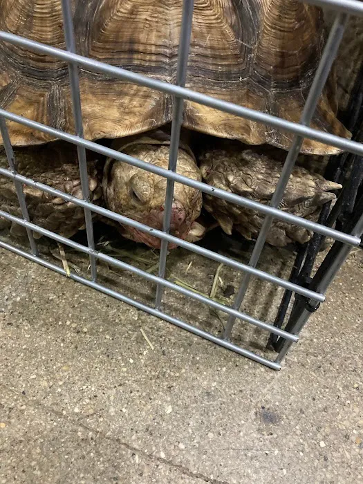Marineland Pets 311 W Silver Spring Bayshore Picture 3