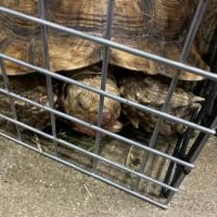 Marineland Pets 311 W Silver Spring Bayshore ico
