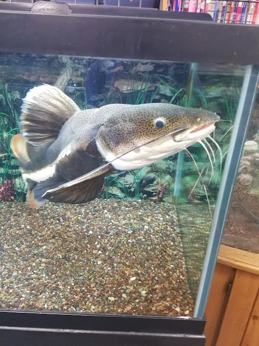 Marineland Pets 311 W Silver Spring Bayshore Picture 4