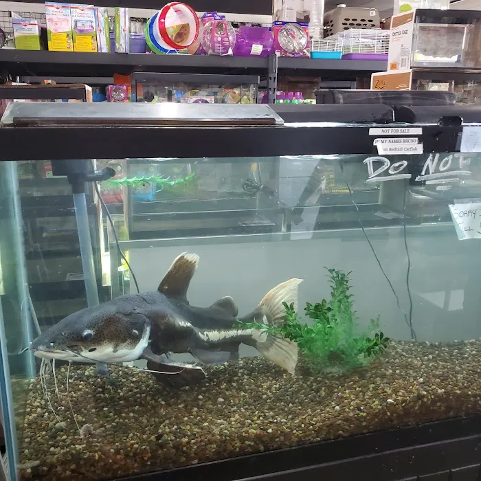 Marineland Pets 311 W Silver Spring Bayshore Picture 7