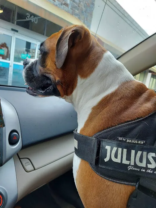 Highway Animal Hospital Picture 4