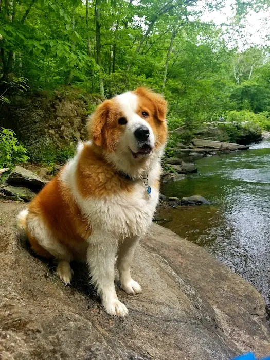 Highway Animal Hospital Picture 5