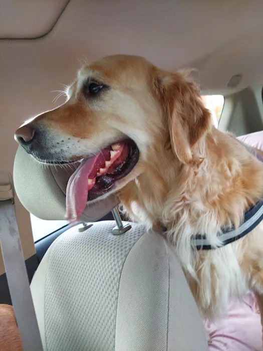 Highway Animal Hospital Picture 2