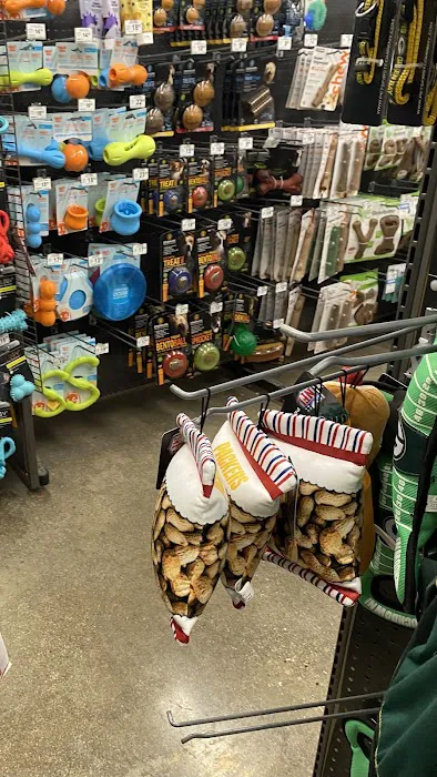 Petco Picture 2