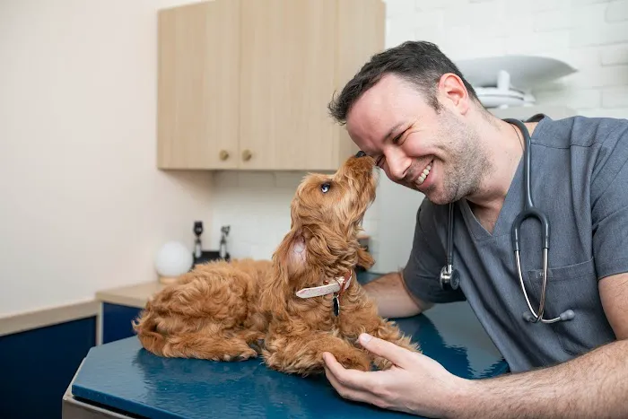 Bond Vet - Fairfield Picture 1