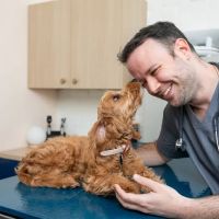 Bond Vet - Fairfield ico