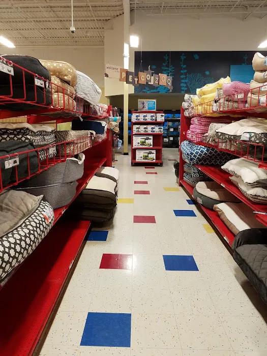 Petco Picture 4