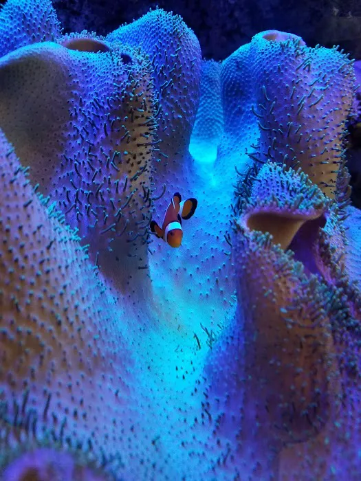 Ash Creek Animal Hospital & Spa Picture 2