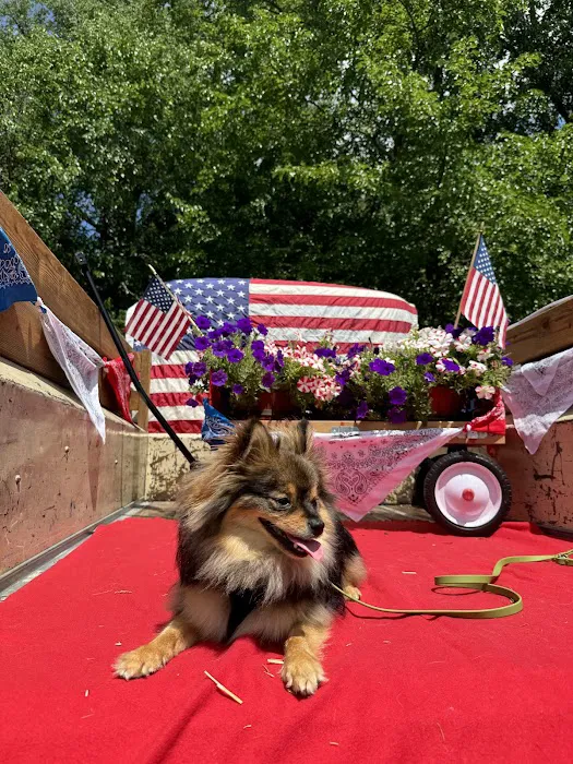 Bark On Mulford Picture 9