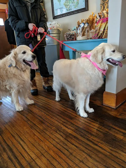 Bark On Mulford Picture 4