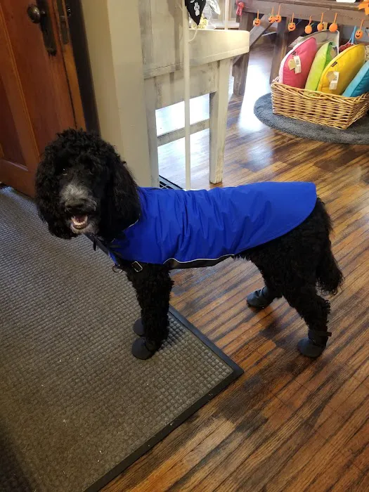 Bark On Mulford Picture 5