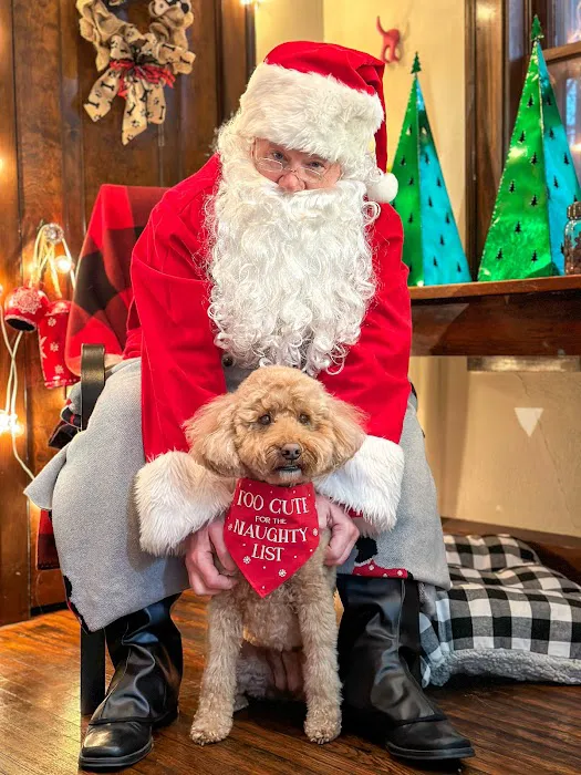 Bark On Mulford Picture 10