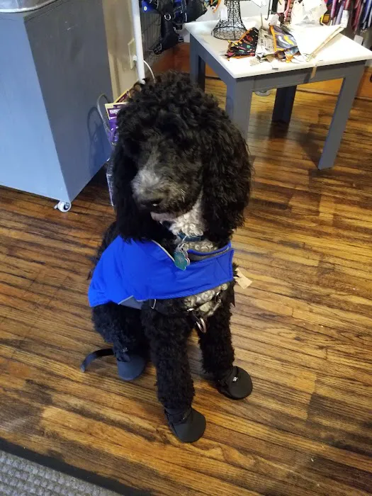 Bark On Mulford Picture 3