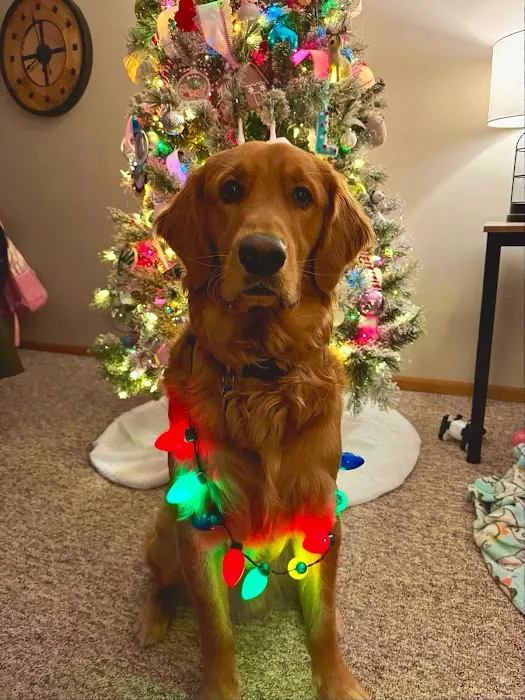 Bark On Mulford Picture 1