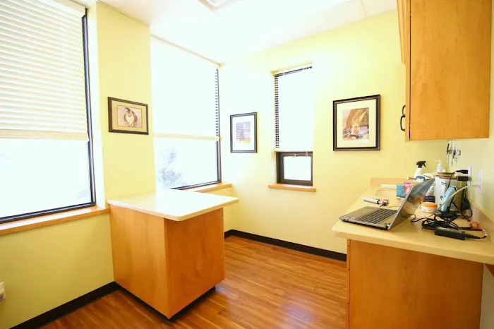 AristoKatz - Veterinary Care for Cats Picture 4