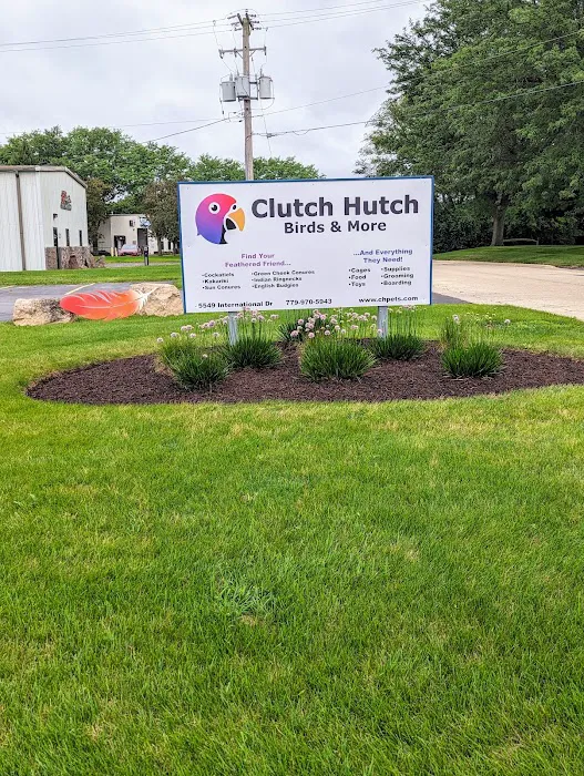 Clutch Hutch Picture 4