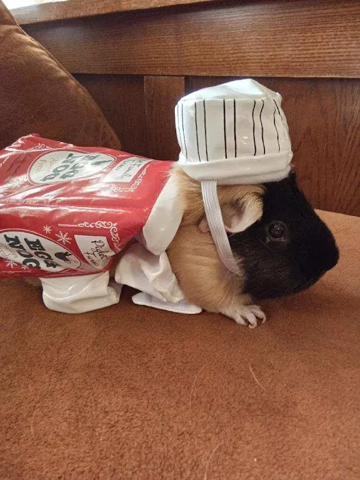 Norm's Piggy Pen Picture 1