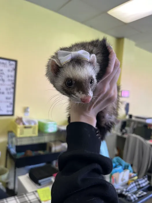 Norm's Piggy Pen Picture 2