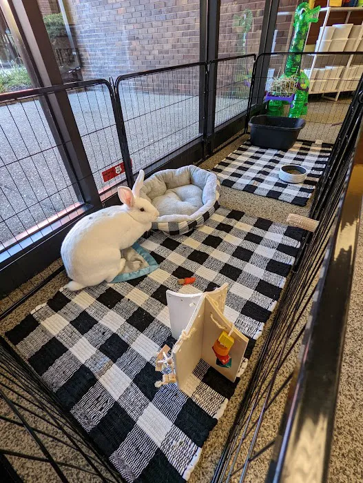 Norm's Piggy Pen Picture 10