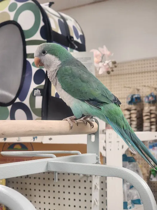 House of Birds Picture 2