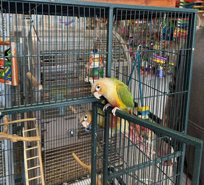 House of Birds Picture 1