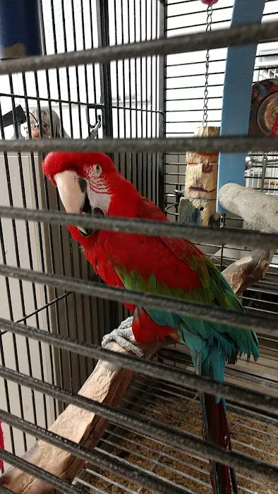 House of Birds Picture 6