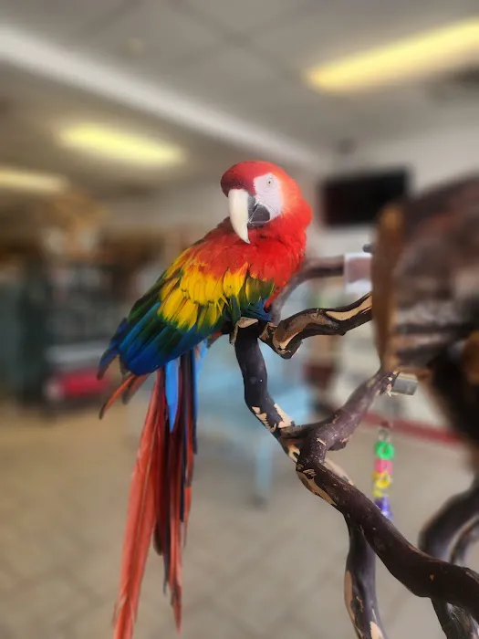 House of Birds Picture 5