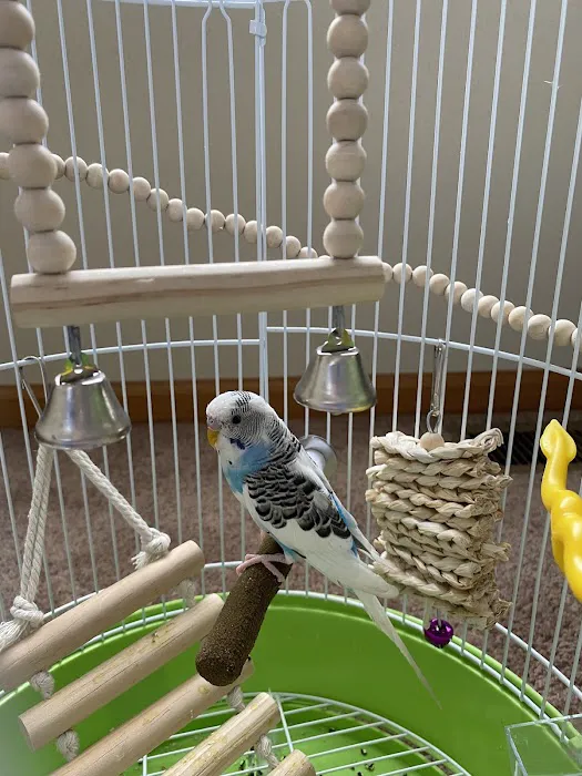 House of Birds Picture 9