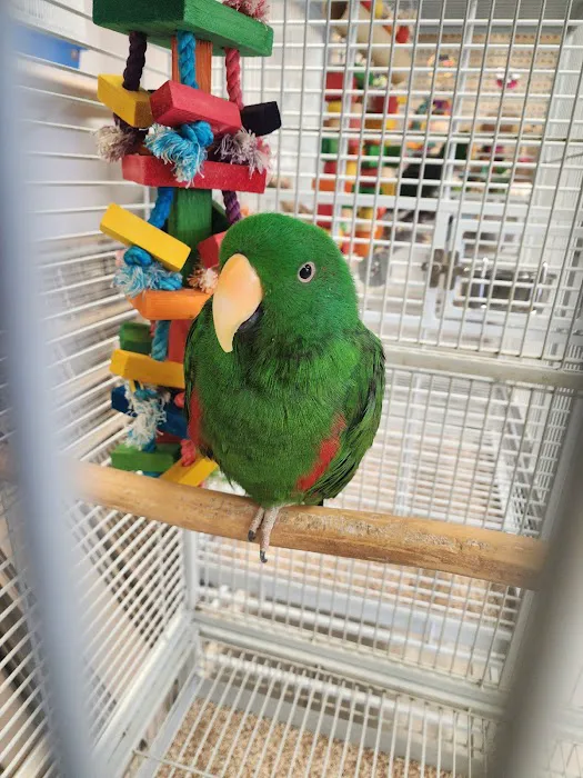 House of Birds Picture 10