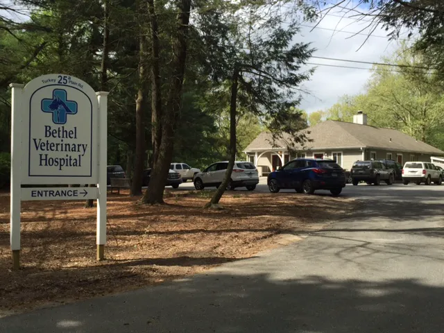 Bethel Veterinary Hospital Picture 6