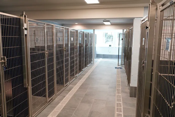 Bethel Veterinary Hospital Picture 10