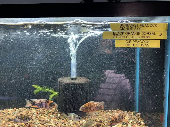 Wayne's Feed Store Picture 10