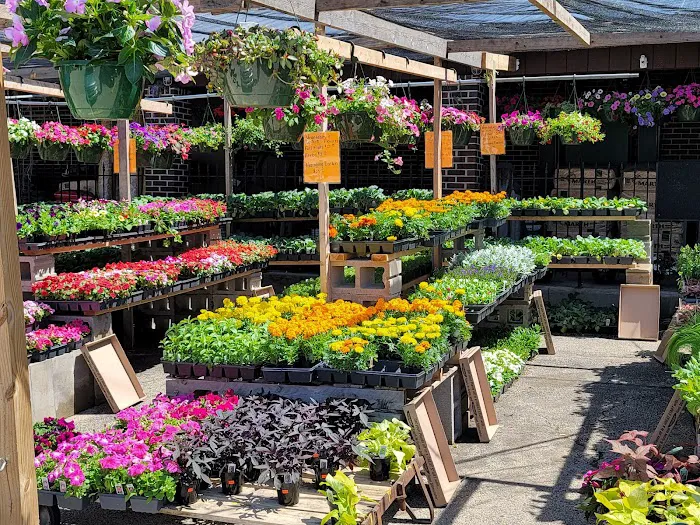 Wayne's Feed Store Picture 3