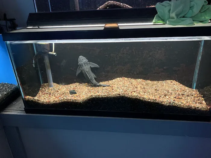 Wayne's Feed Store Picture 6