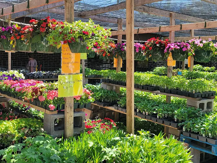 Wayne's Feed Store Picture 8