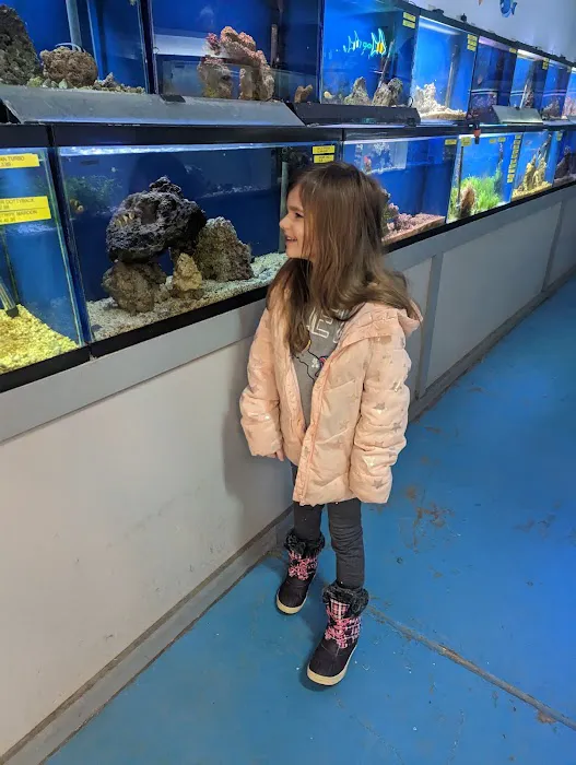 Wayne's Feed Store Picture 2