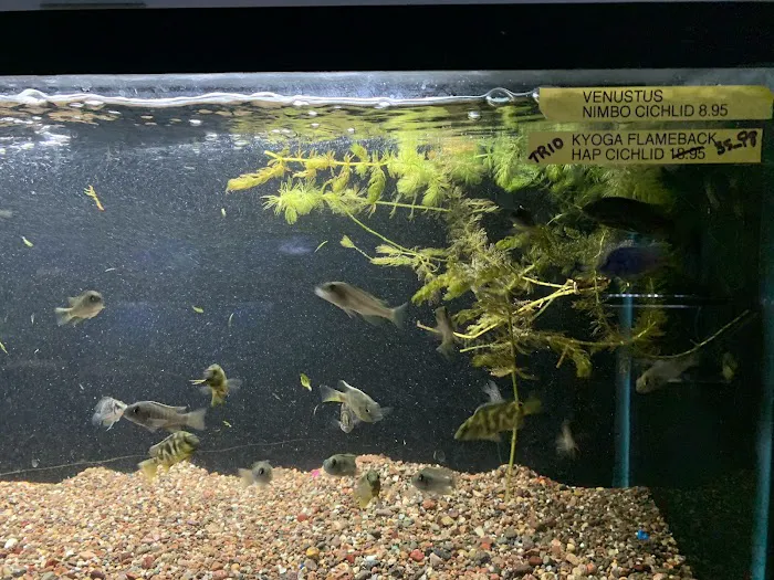 Wayne's Feed Store Picture 7