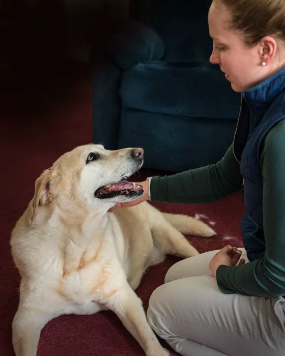 Tailored Veterinary Care Picture 4