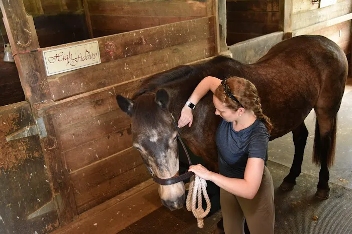 Tailored Veterinary Care Picture 2