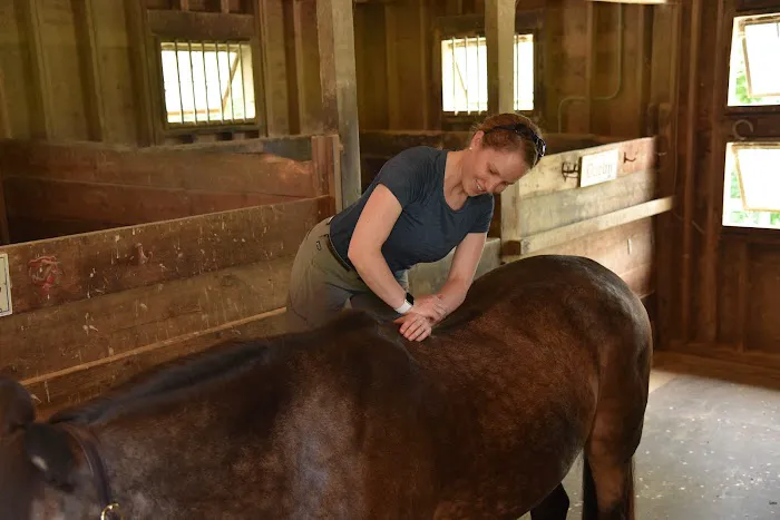 Tailored Veterinary Care Picture 3