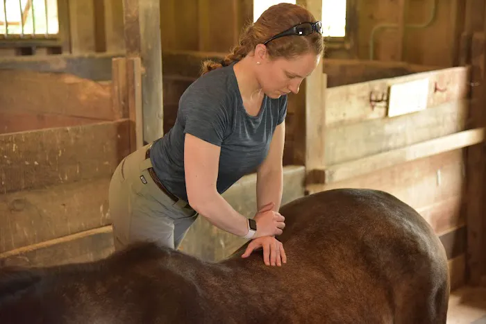 Tailored Veterinary Care Picture 7