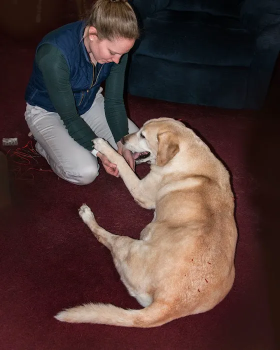 Tailored Veterinary Care Picture 9