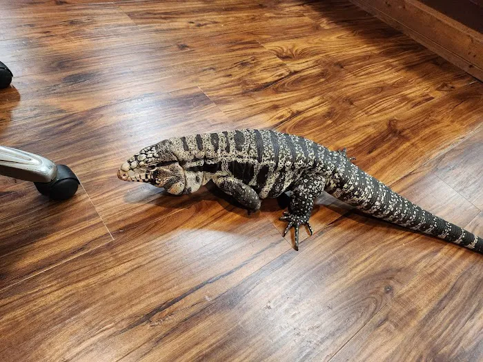 Michelle’s Pet Center Picture 7