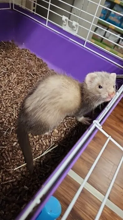 Michelle’s Pet Center Picture 9