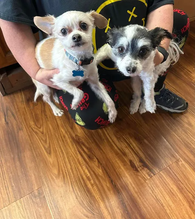 Michelle’s Pet Center Picture 5